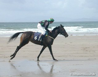 Irland: Pferderennen - Horse races